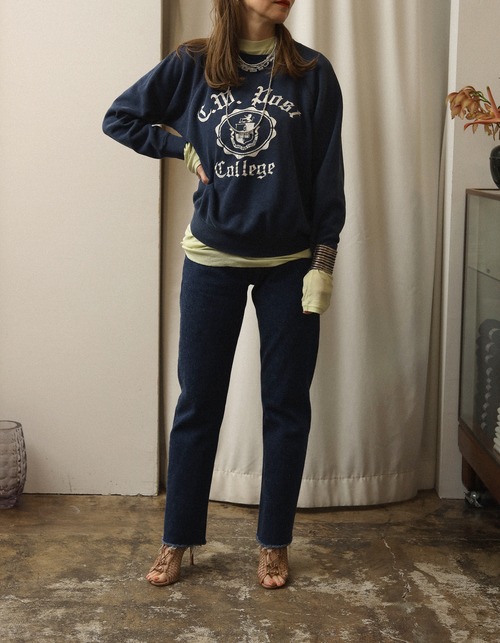 1970-80's C.W. Post College / Sweat Shirt