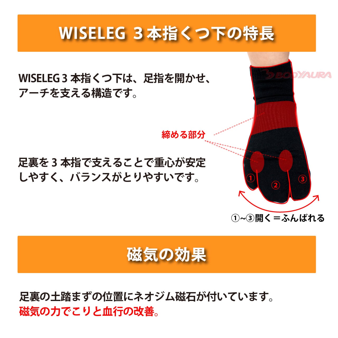 SELCORRE マグネットフットケア