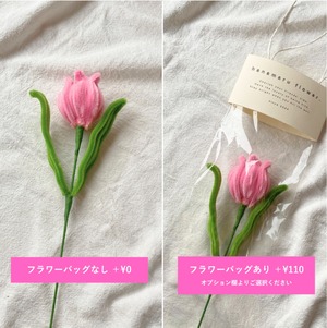 anthurium アンスリウム  【1本単体】| fuwafuwa flower