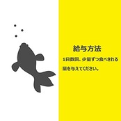 テトラ (Tetra) フィッシュ 魚 15グラム (x 1)