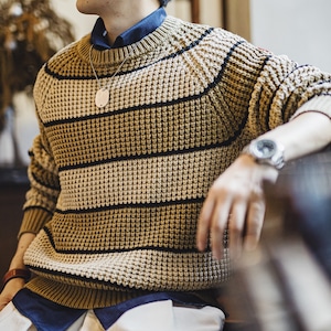 アースカラーボーダーパターンローゲージニット 224144