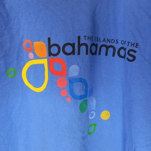 ギルダン　クルーネック　プリントTシャツ　オーバーサイズ　くすみブルー　2XL