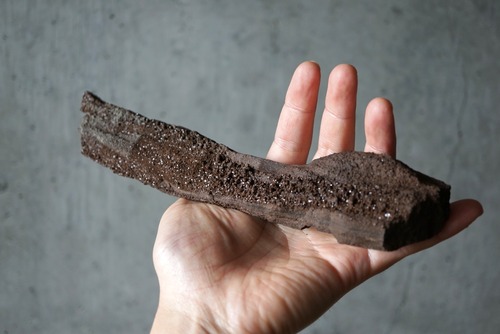 特大ドイツ産ドゥルージーペトリファイドウッド 242mm　Petrified Wood / Quartz　1173