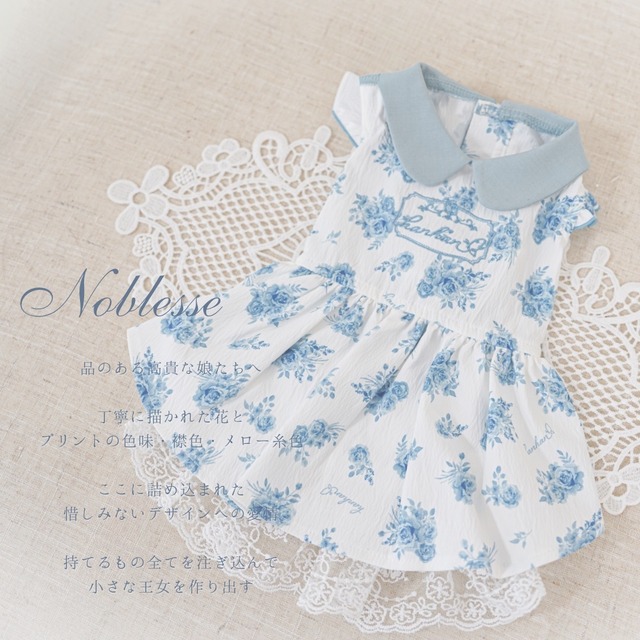 Noblesse（貴族) bleu XS-XL.DS