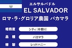 【エルサルバドル】ロマ・ラ・グロリア農園 パカマラ レッドハニー(中煎り)