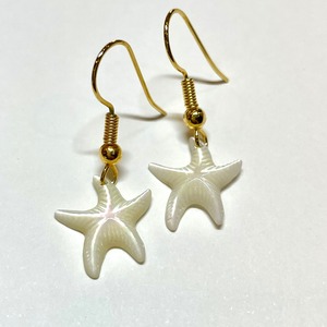 シェルピアス Starfish No1