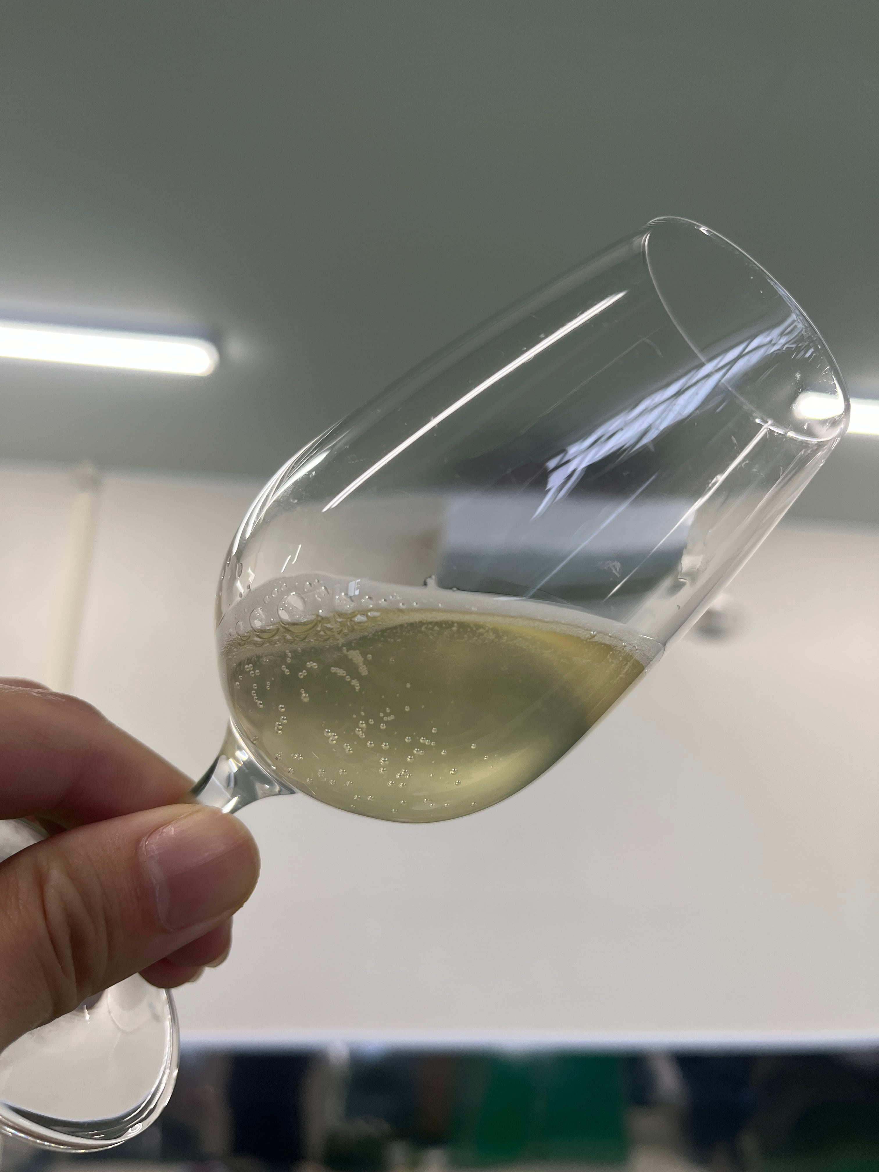 微炭酸白ワイン【アルモニ秋田ブラン】