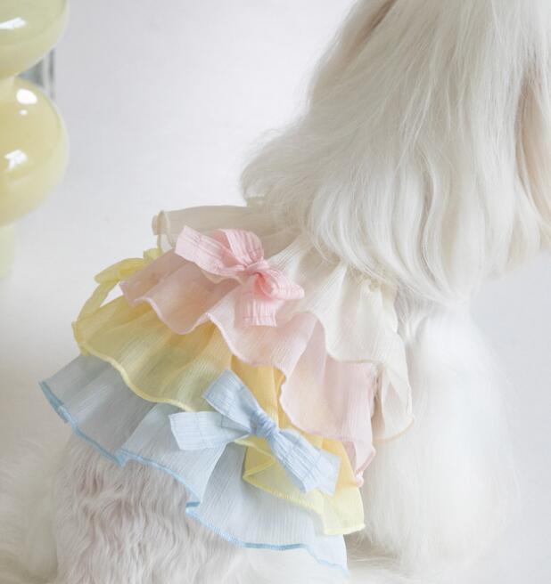 おすすめ☞《予約》2101050 カラフルレースフリルキャミ