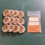 ビカクシダ胞子培養スターターキット P.'Monkey North'【P34】