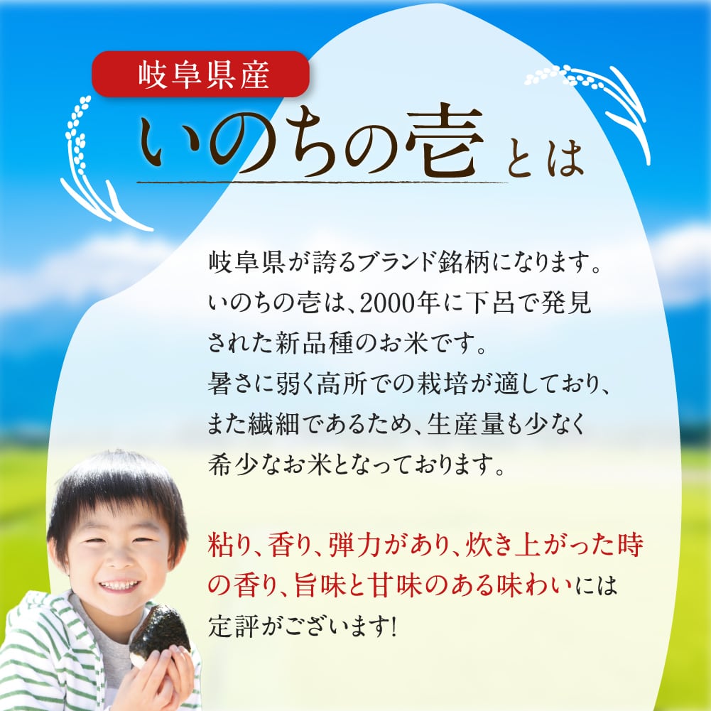 希少米！いのちの壱 2kg 飛騨高山産 精米済 　飛騨牛と共に。【令和5年産】