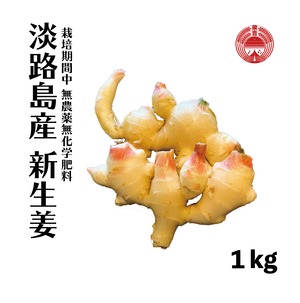 新生姜　1kg