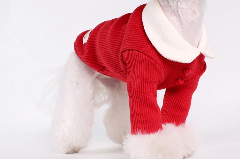 コーデュロイTシャツ S ~ XL 3color / 犬服 春物 新作 おしゃれ ドッグウェア 可愛い 犬の服 小型犬 中型犬 ペット用品 ペット洋服 top27