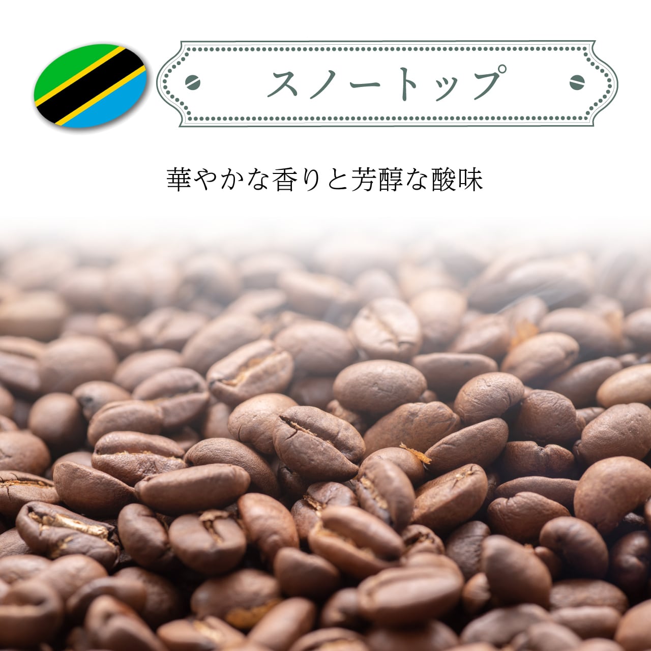 スノートップ【タンザニア】 | LABOえなべーす