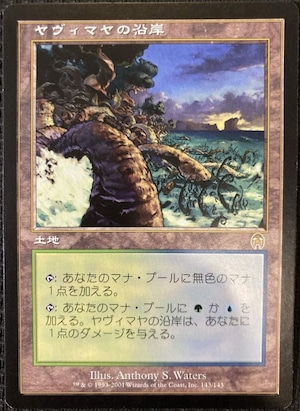 MTG《ヤヴィマヤの沿岸/Yavimaya Coast(APC)》日本語