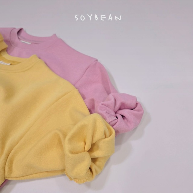 《送料無料》予約:ナッツリストレーナー【soybean】