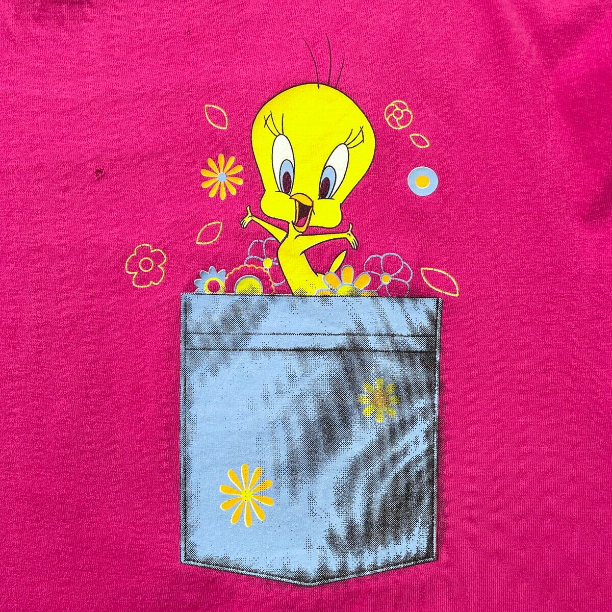 LOONEY TUNES ルーニー・テューンズ トゥイーティー キャラクター