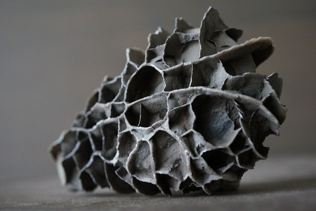 湖南省産亀甲石 1107