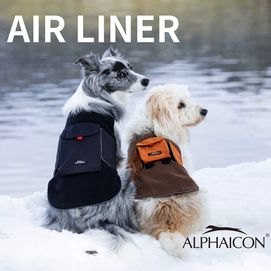 アルファアイコンalpha iconエアライナーL美品 LINER AIR アルファ