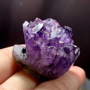 4アメジストクラスター・ハリネズミ