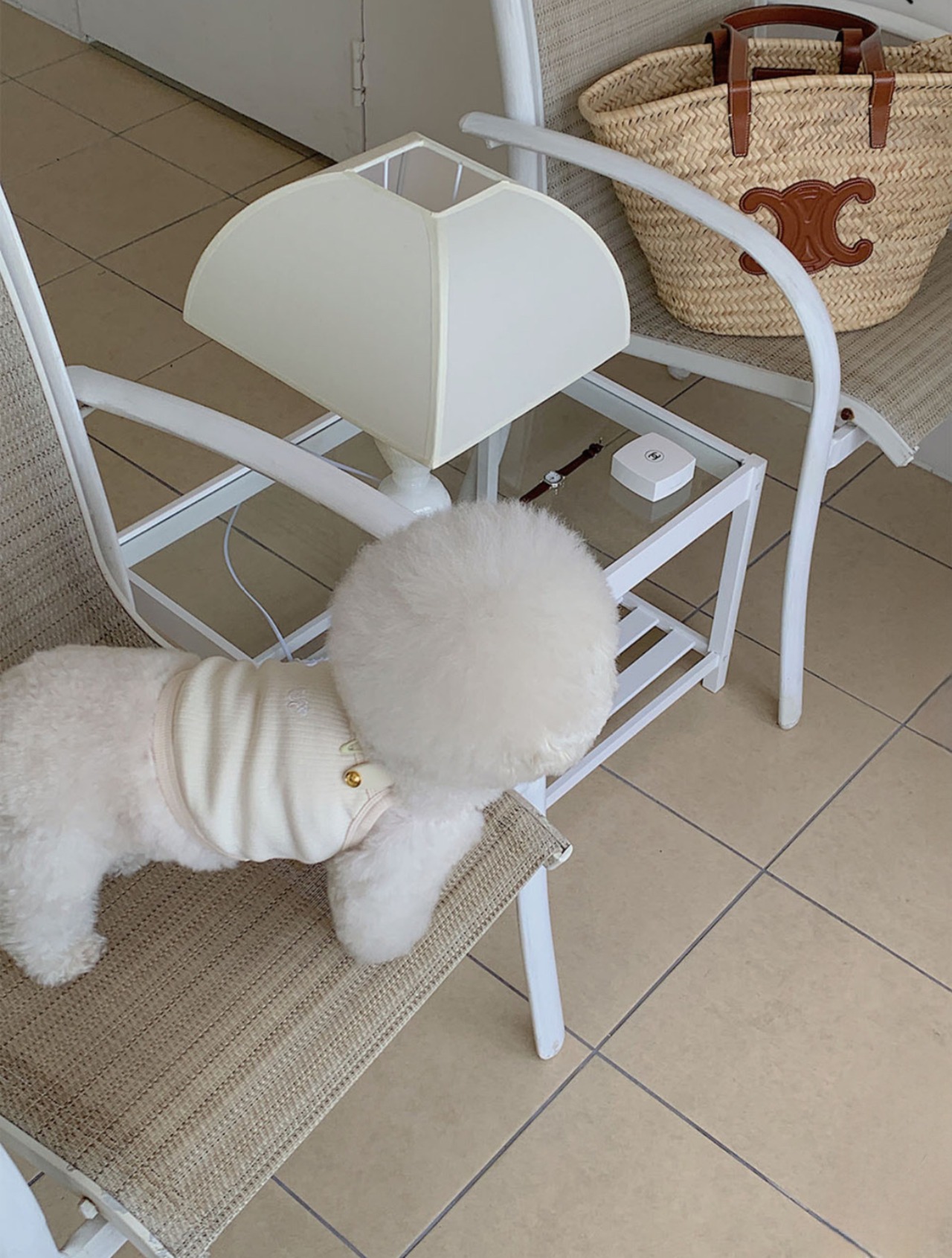 即納 【seenii】ceci crop top (ivory)