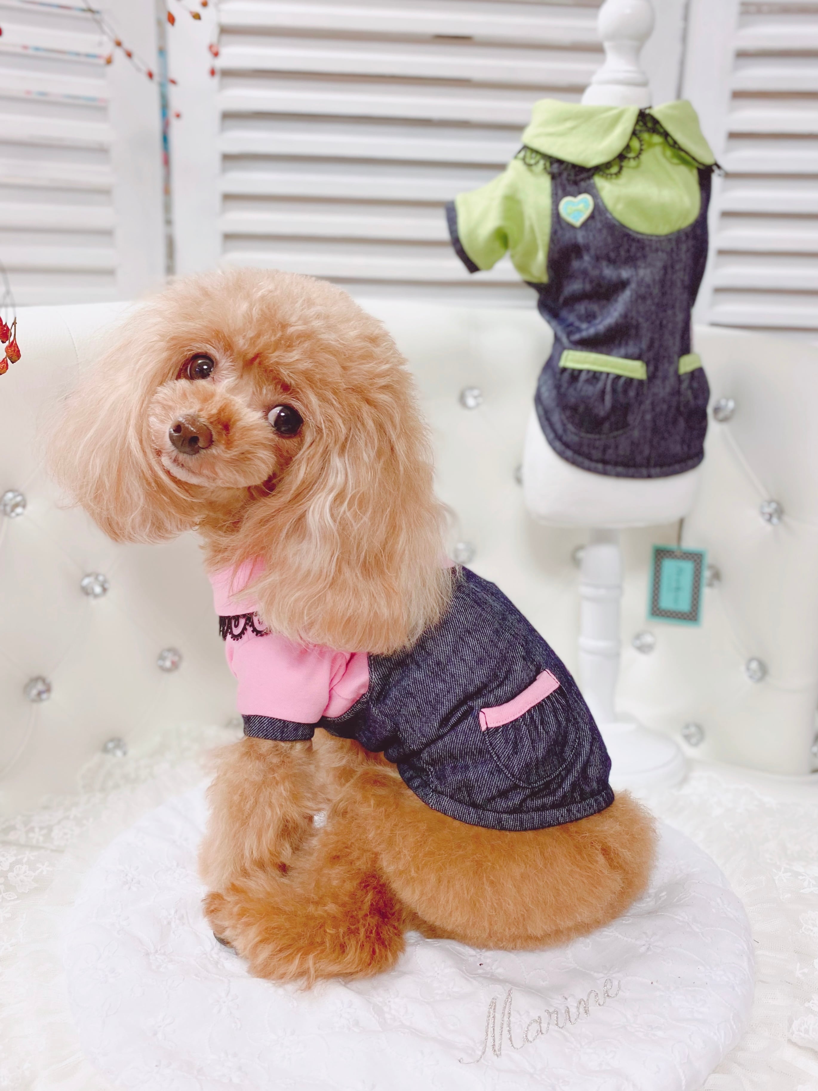 Fifi & Romeo フィフィアンドロメオ | 犬の生活オンラインブティック