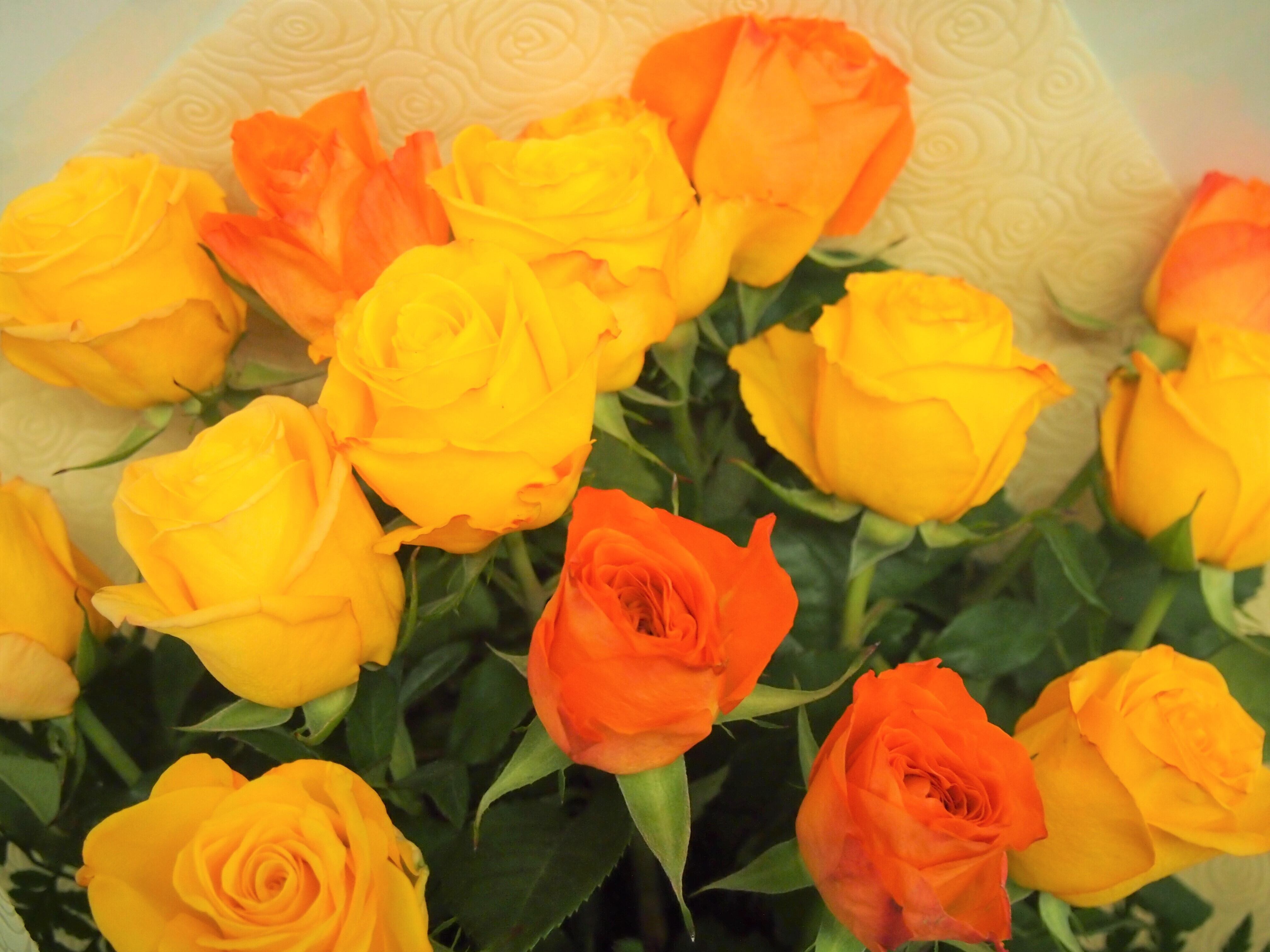 黄色とオレンジの薔薇ブーケ | 花の店サトウ オンラインショップ