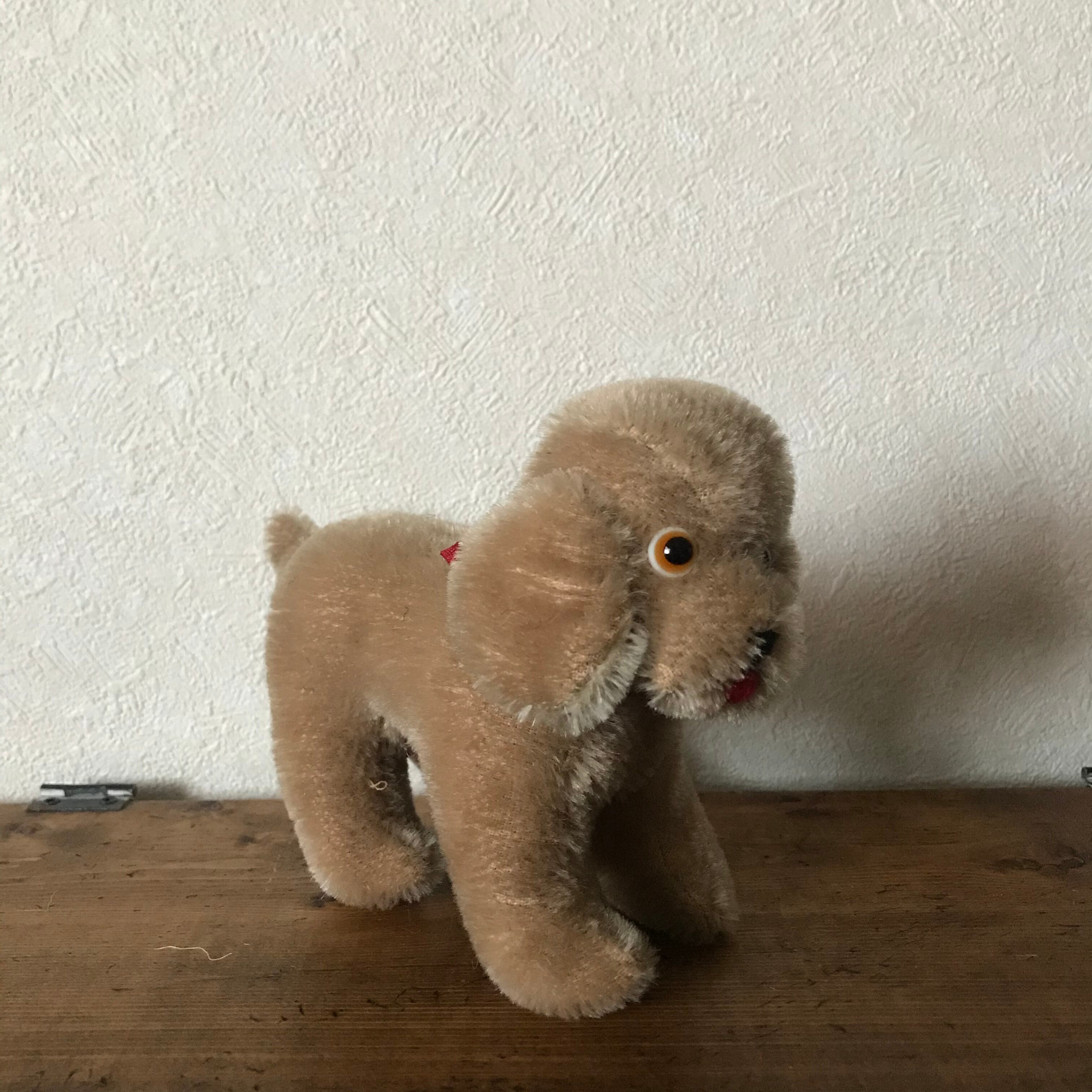 赤いリボンのワンコ