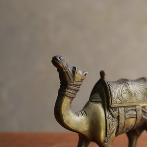 明日を見つめる、真鍮のラクダ 1