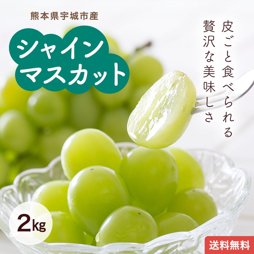 熊本県宇城市産 シャインマスカット 2kg
