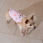 【PUPPYGARRERY公式】Big bear cooling tank　2XL-3XL