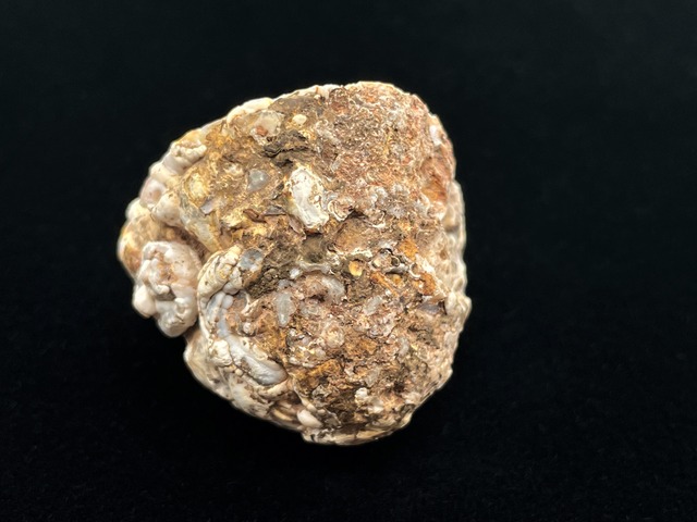 オープンジオード