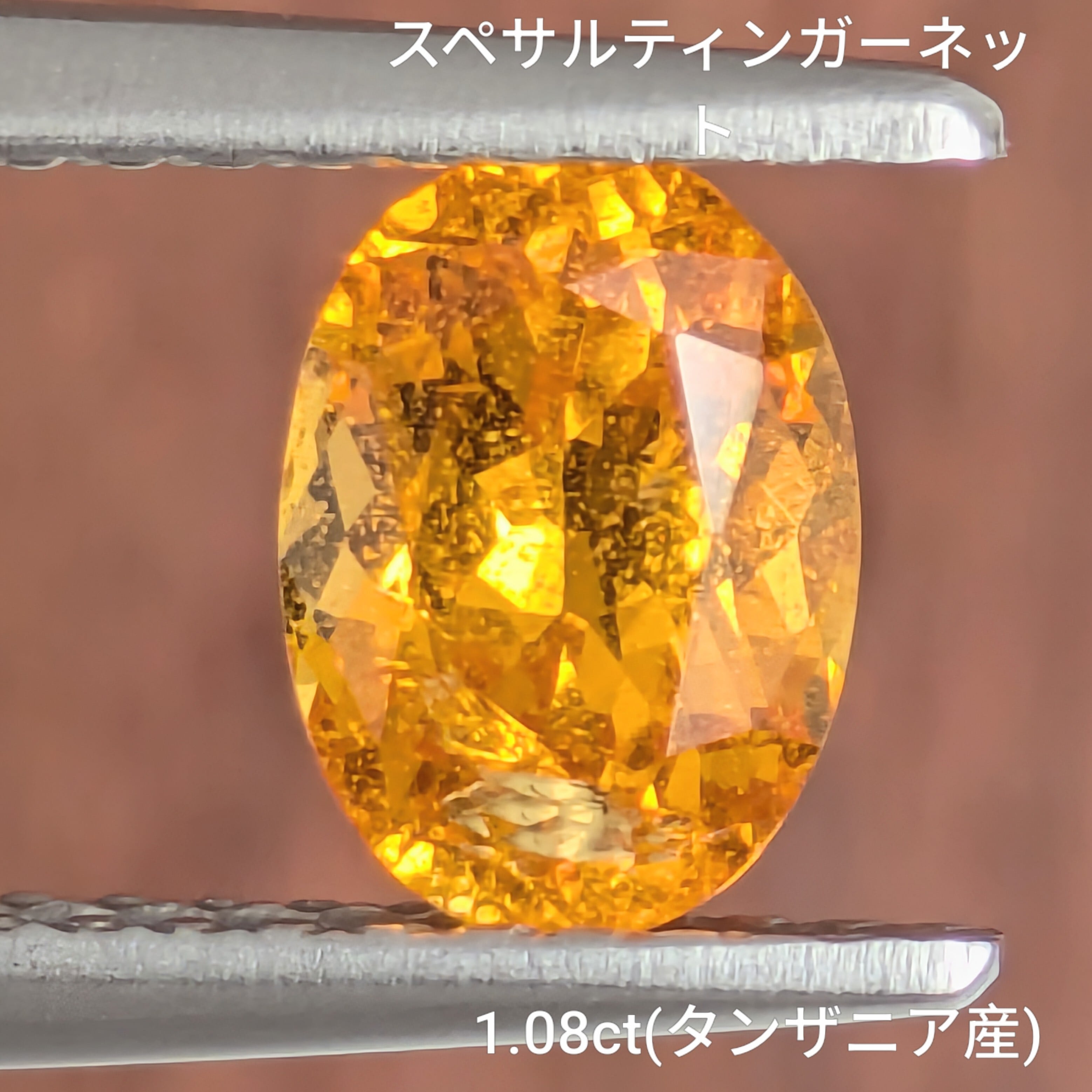 ガーネット | Gem's Subculture