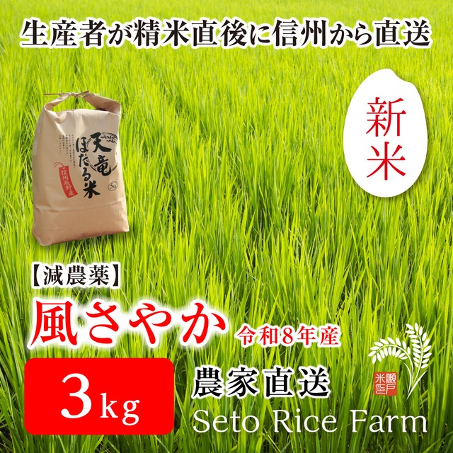 【R8年度 新米】減農薬　信州のブランド米「風さやか」　5kg　あっさりとした食感が女性に好評！