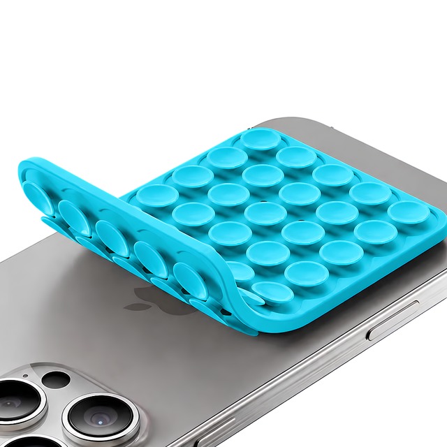 COCO case