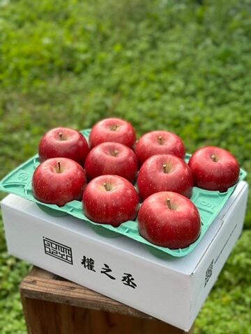 葉取らずコスモふじ家庭用　3kg