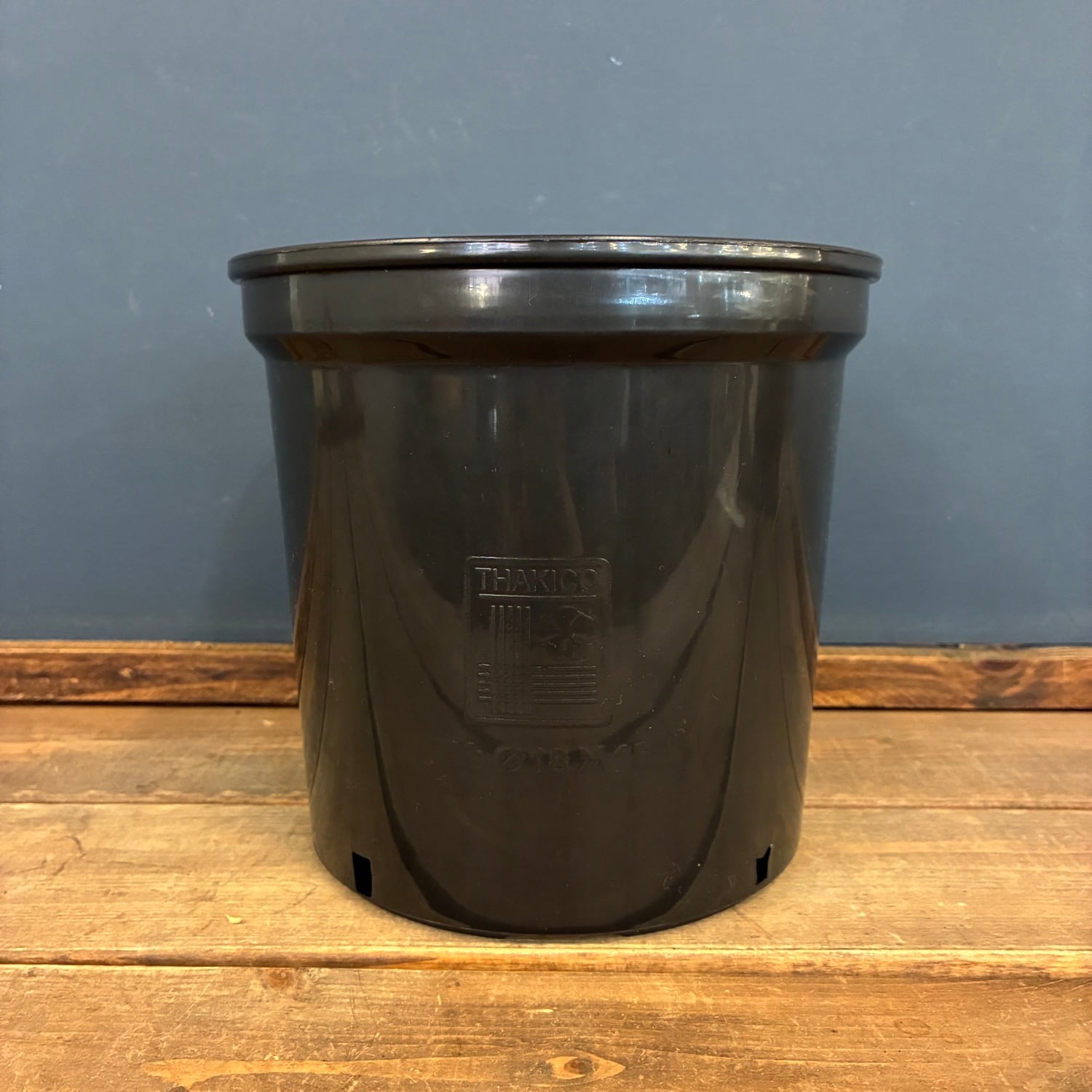 モスポール鉢 17cm 黒 | PROTOLEAF プロトリーフ
