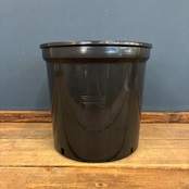 【レアアロイドフェア対象商品】モスポール鉢　17cm　黒