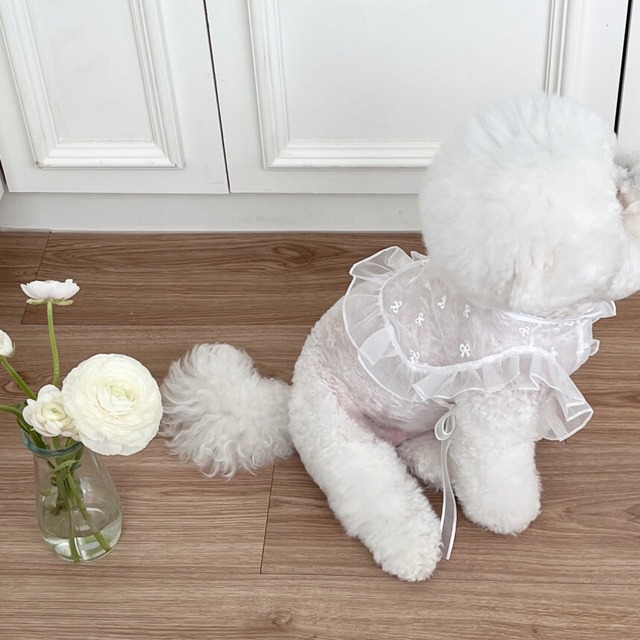 【予約】リボンレースシースルーポンチョ