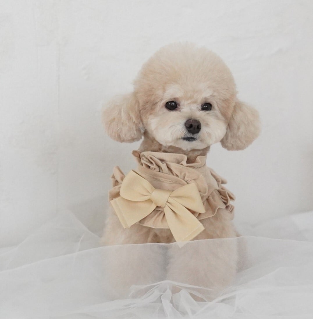 M/即納【COZY N】cozy n Harness Corduroy《Beige》