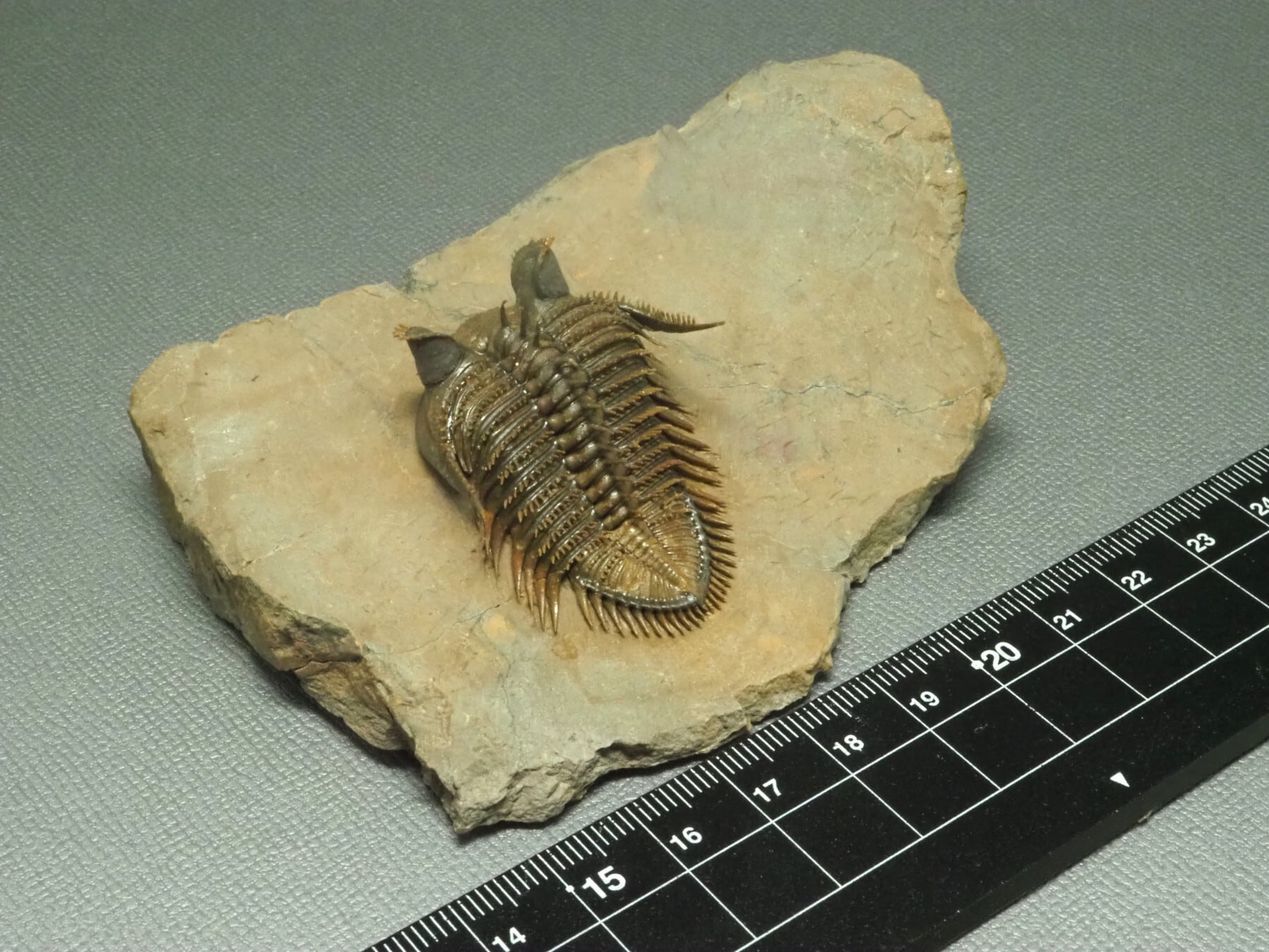 ae9db70fe057e4d9002dbfd5f1793d