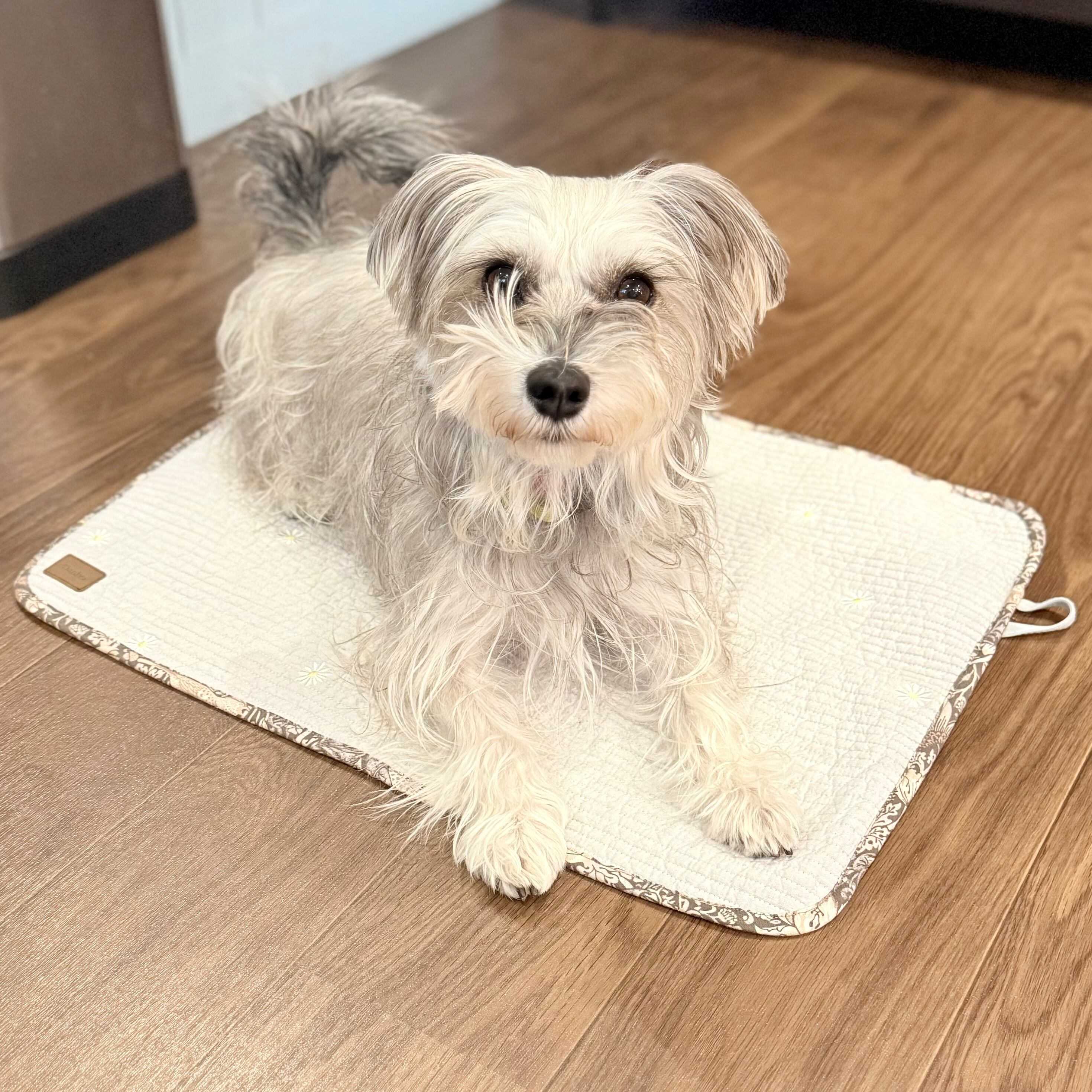 Dankeオリジナル カフェマット Lサイズ