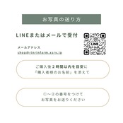 出産内祝い｜名入れお米ギフト｜3合×2個ギフトBOX｜農家直送｜2箱セット