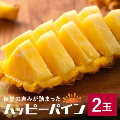 でーじマンゴー