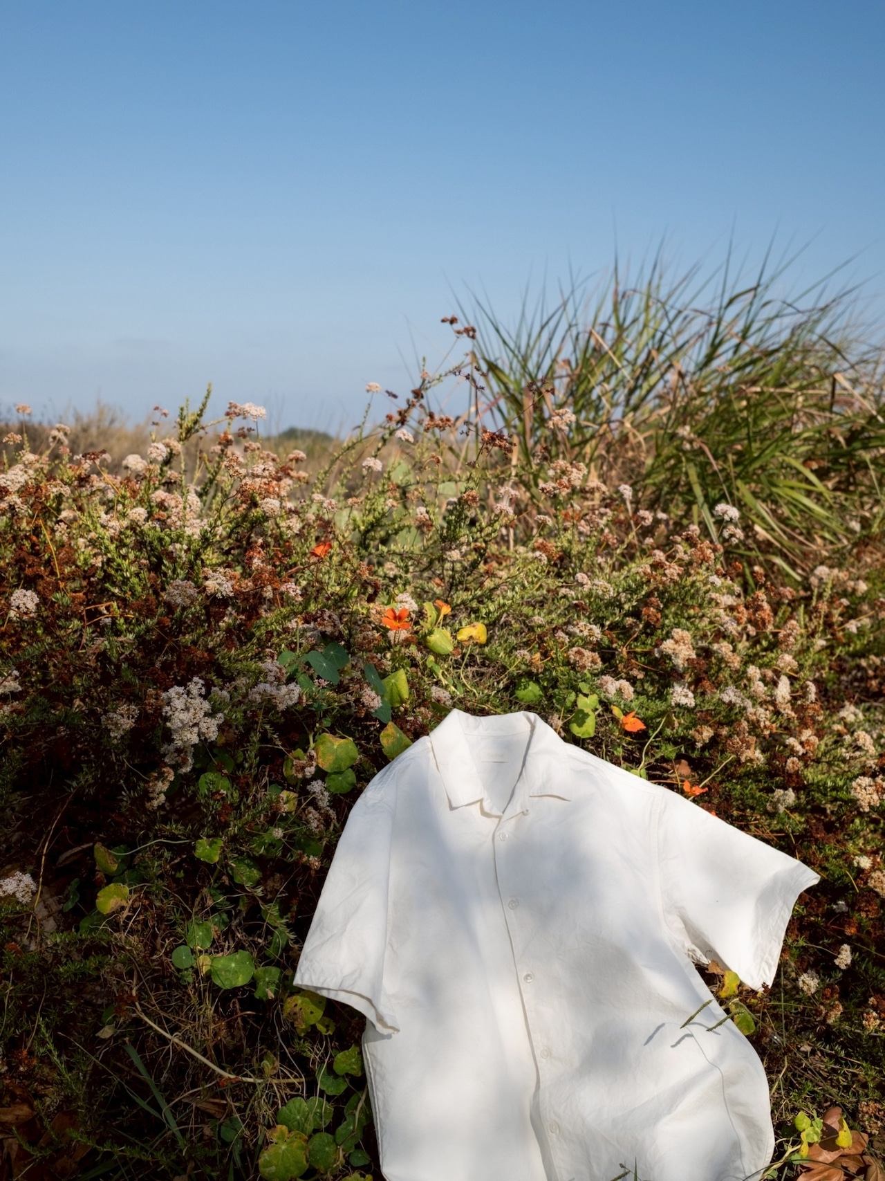 Sun Dried S/S Open Collar Shirts