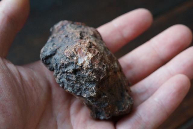 コプロライト ① Dinosaur Coprolites