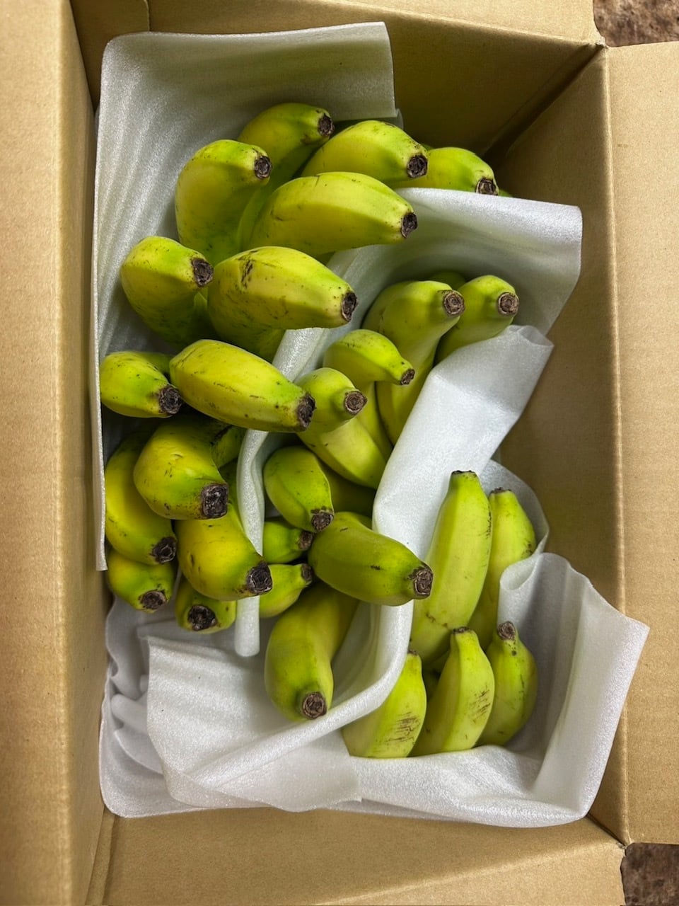 バナナ 沖縄産有機バナナ『清麗オーガニック心バナナ』3kg（お徳用） | 白