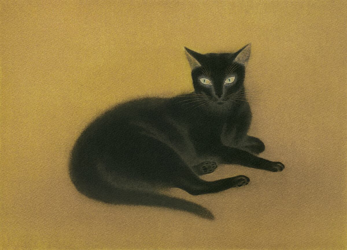Black Cat Gold / Toshihiko Maemoto