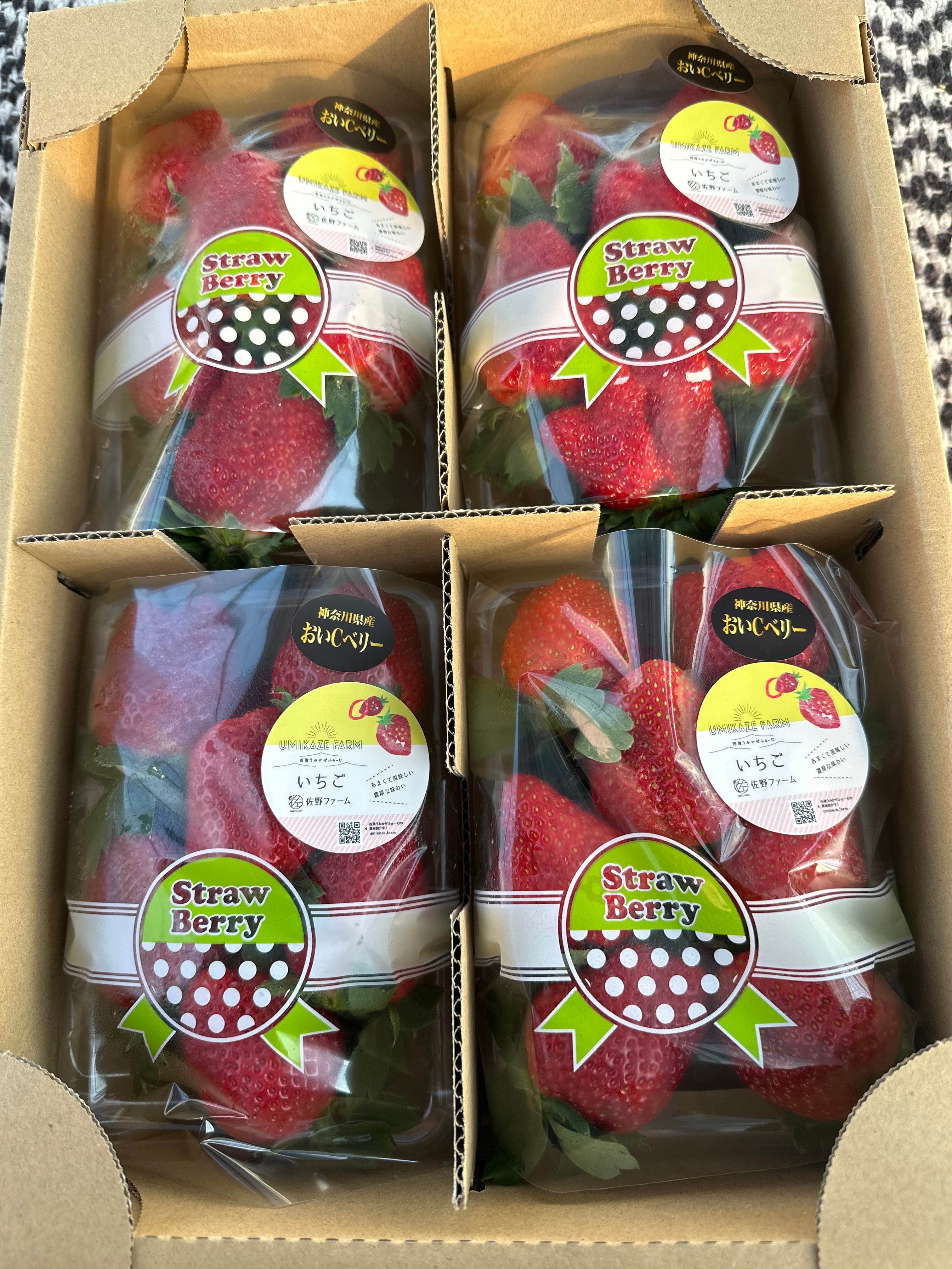 おいCベリー 大粒 1箱 4パック入り | 佐野ファーム