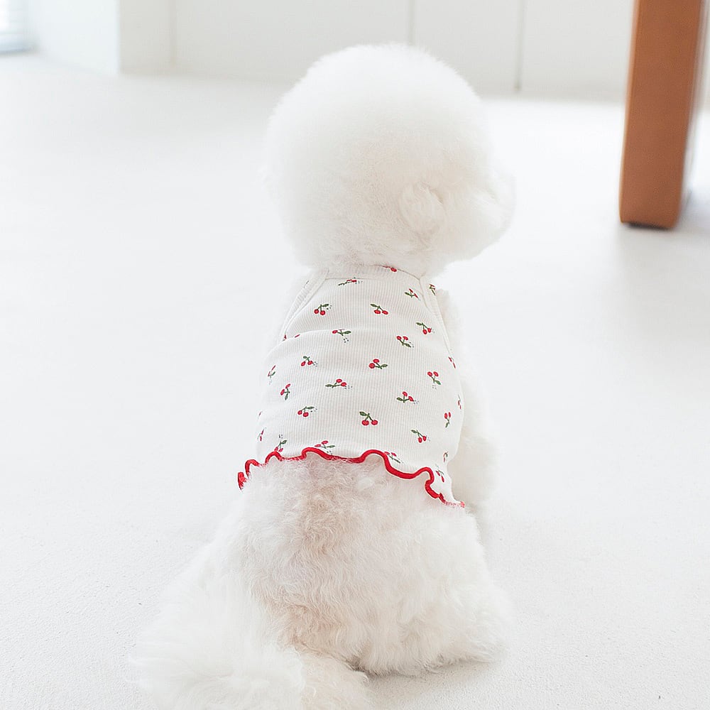 予約【cocochien】Leal Crop