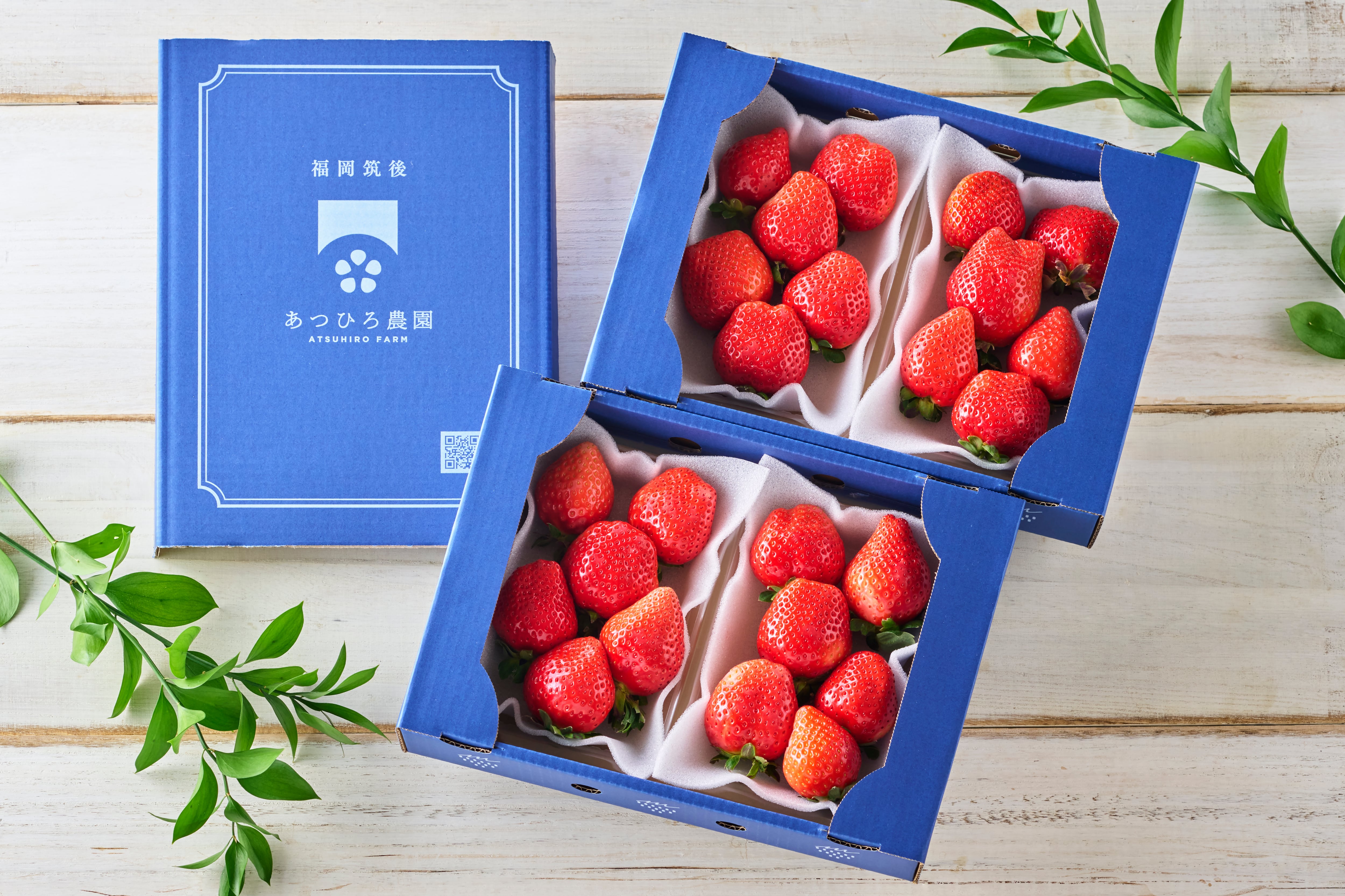 aeb3bb1b726990909768546e3ba976